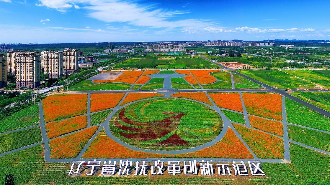 沈抚有花海,沈抚浪漫花海