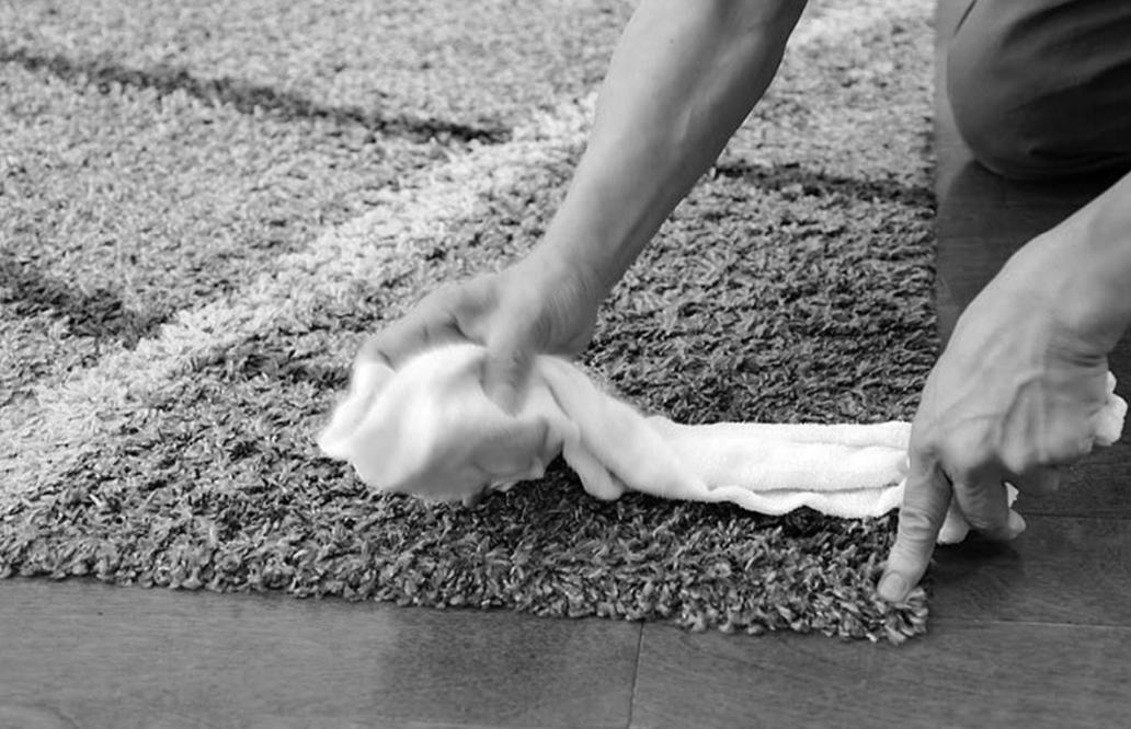 蜱虫比虱子厉害吗,怎么判断蜱虫和虱子