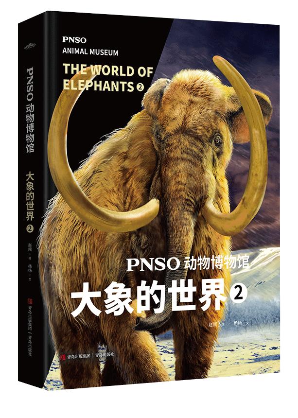 近距离接触大象了解大象,爱大象的原因