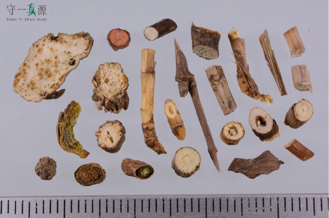 中药真伪鉴定案例,中药鉴定真假找谁