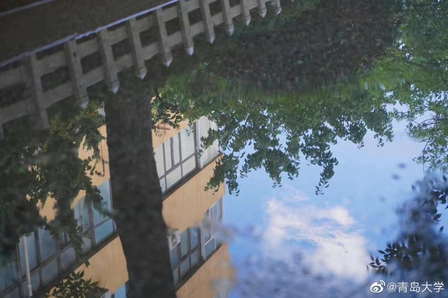 新传专业容易考研上岸学校,考研过国家线就可以录取的院校