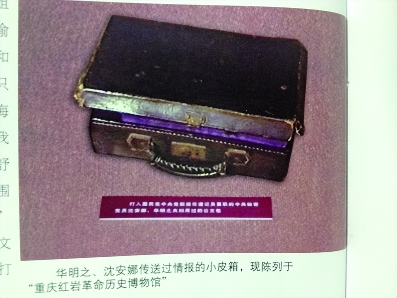 谍战玫瑰沈安娜的传奇人生,谍战玫瑰沈安娜电视剧多少集