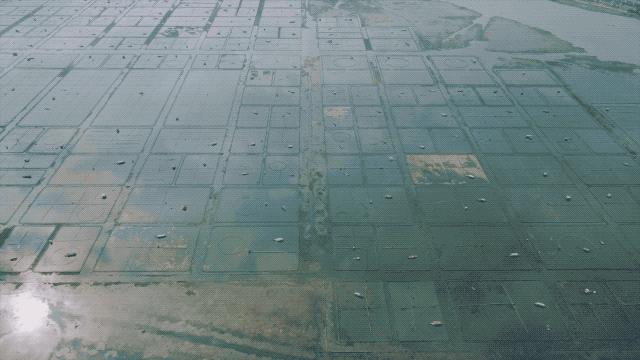 追根究底与寻根溯源,追根溯源探历史