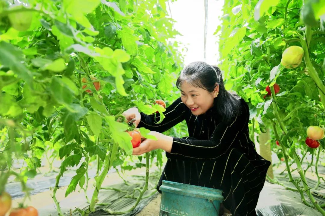 经典田园风光诗10首,一首很美的田园诗清新怡情