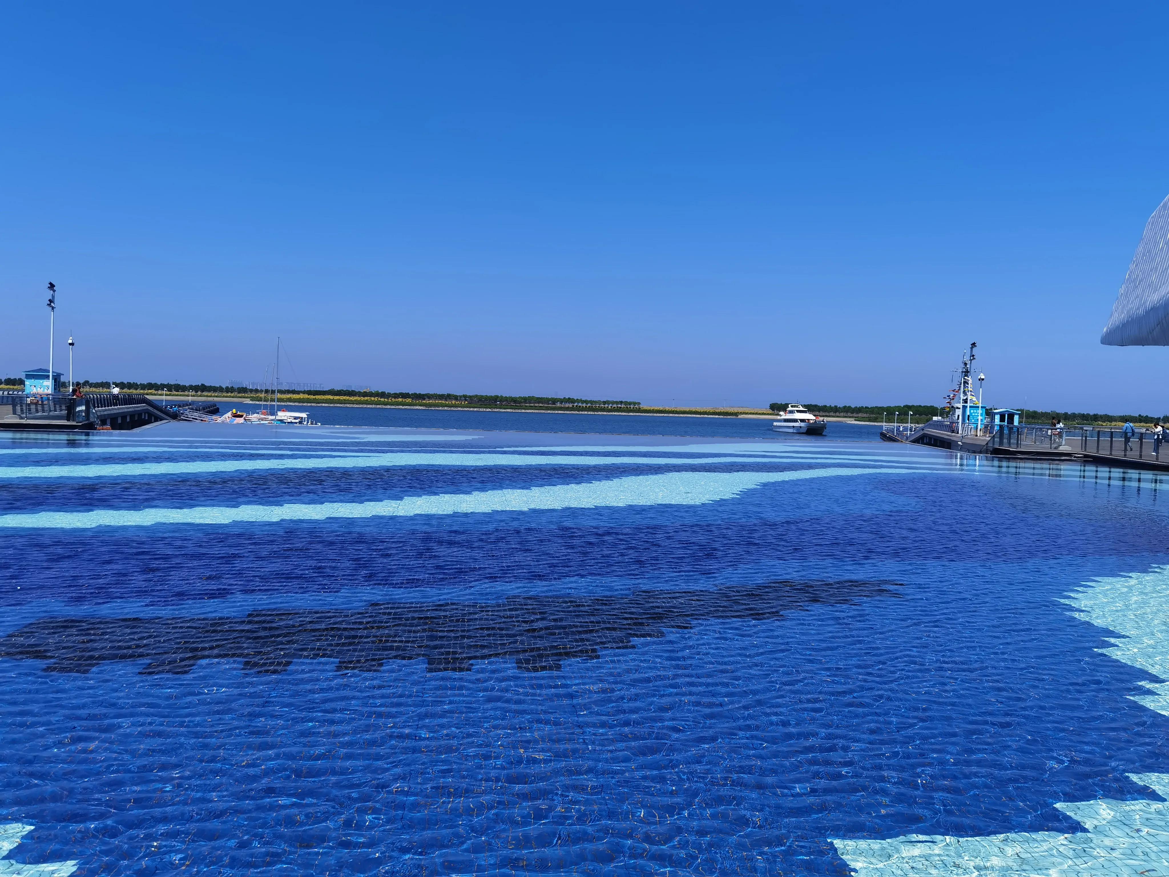 南湾海洋动物公园,国家海洋博物馆和南湾公园哪个好