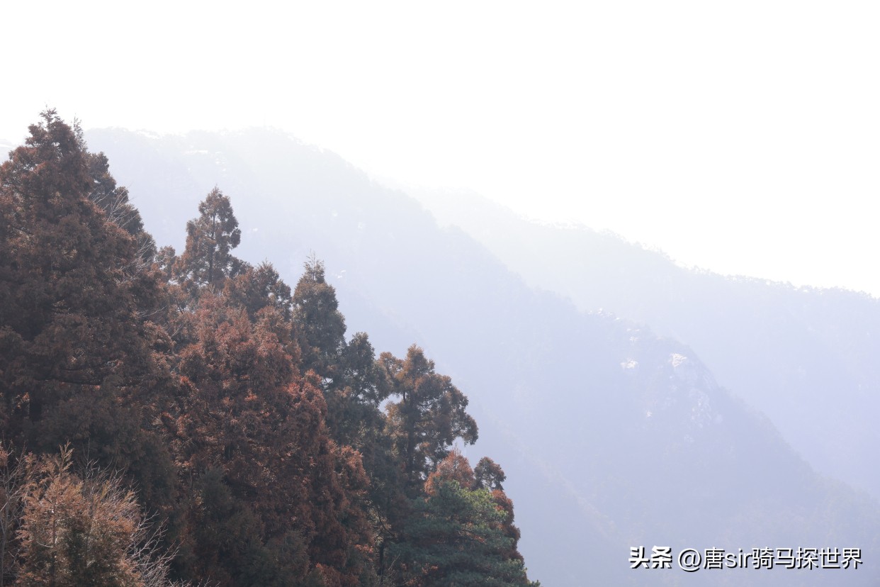 本地人去本地旅游景区要收费吗,本地人免费门票