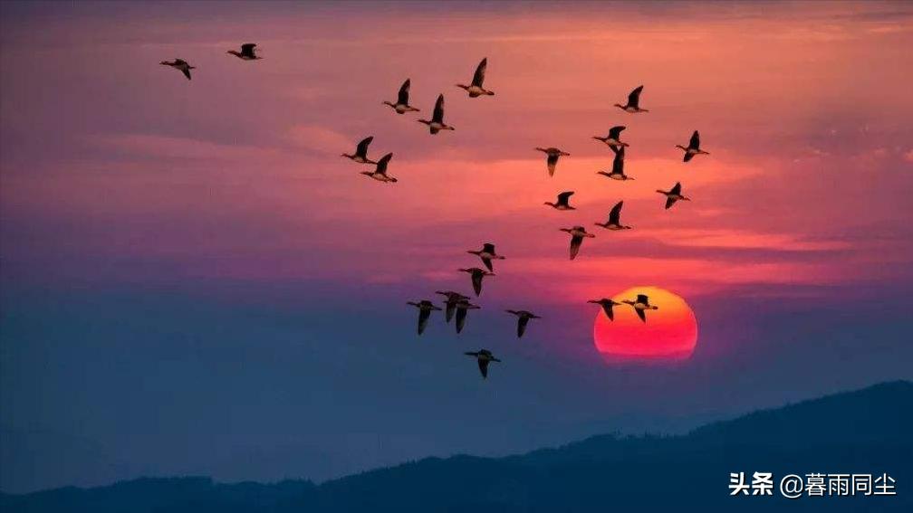 荒野过滤水的简单方法,在野外如何快速寻找水源