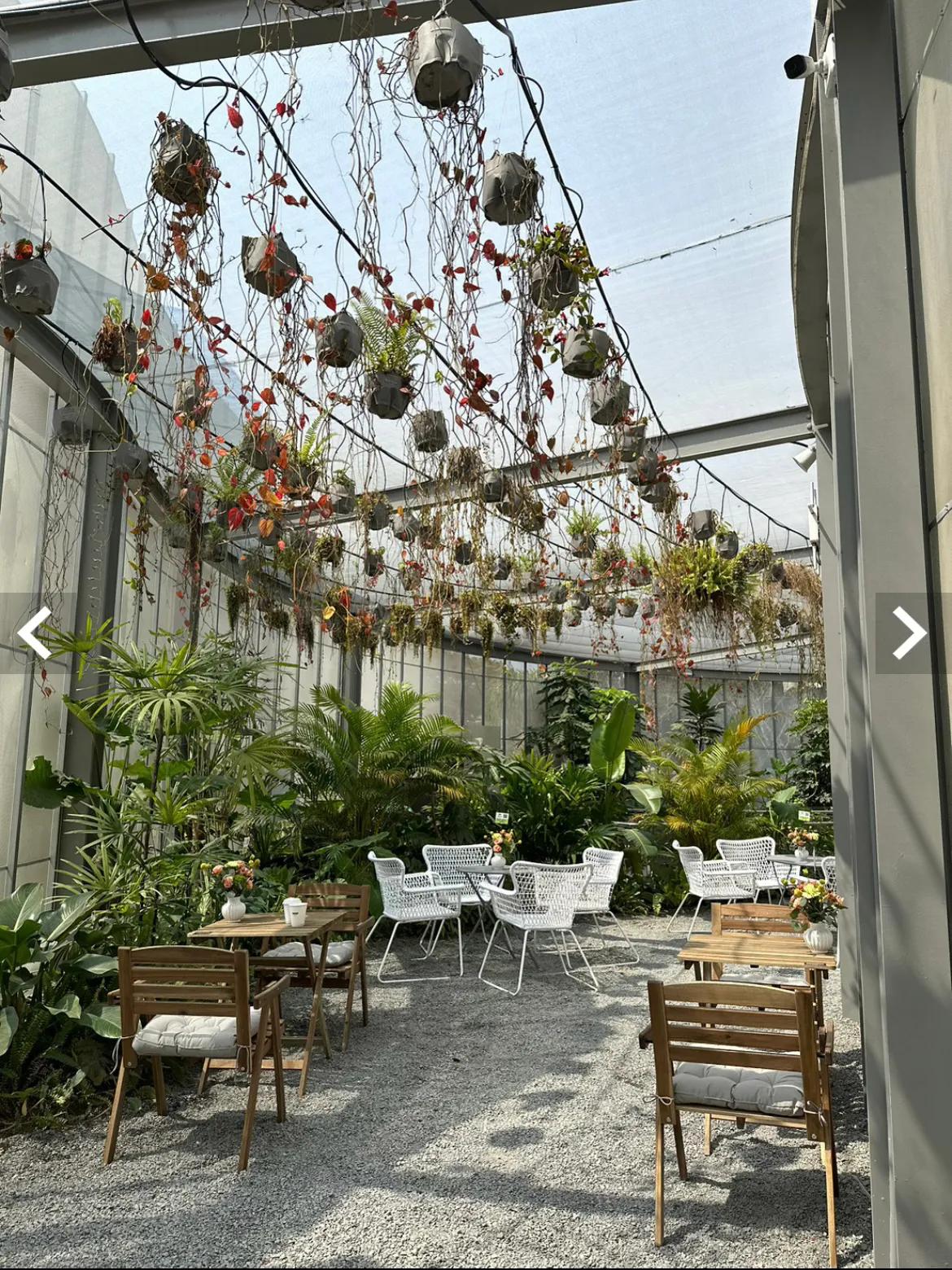 台湾旅游攻略视频,台湾彰化旅游攻略