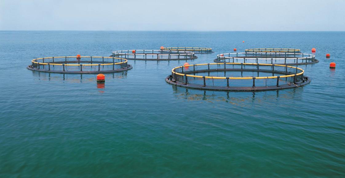 女子在银行存了1500万两年后取出,女子5万存银行10年后取出100万