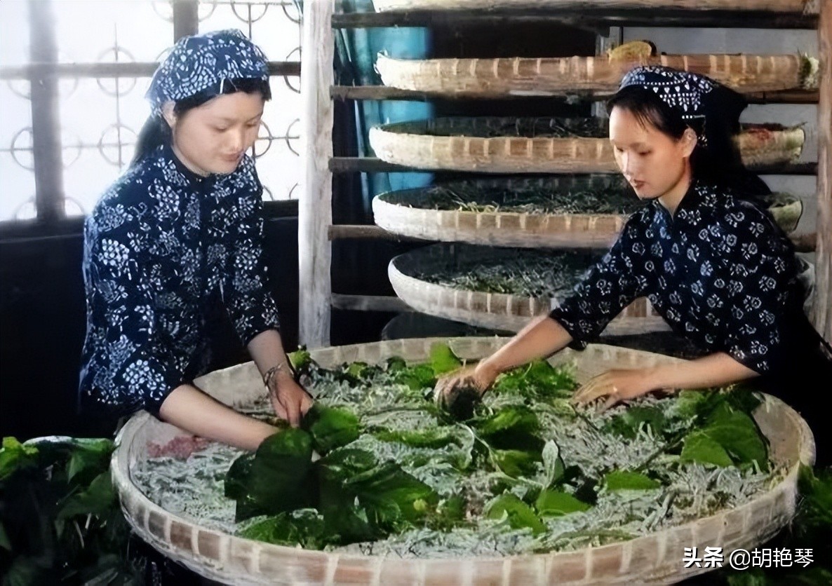 关于劳动者的诗句有哪些,歌颂劳动人民的经典诗词