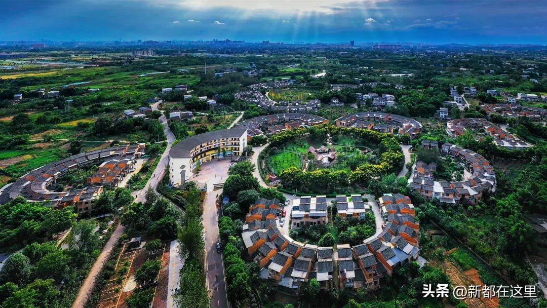 关于石板鸽你不知道的秘密,石板滩特色