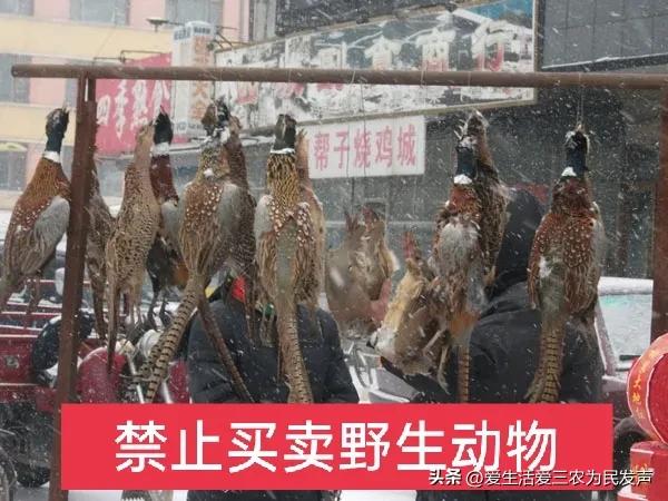 在农村做这四种生意发展会很快,农村哪三种生意不能做