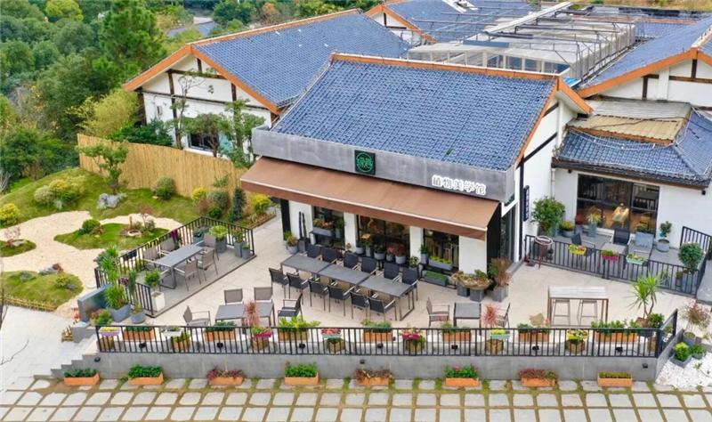 从小花店到年入900万元园艺名企，看温州绿趣的两次转型