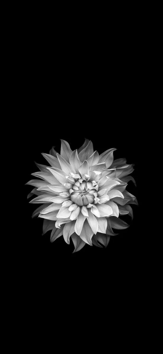 黑暗系的壁纸文字,黑暗色系的壁纸