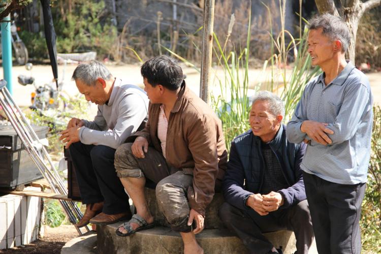 白头发越来越多缺少什么营养吗,白头发是缺乏什么营养吗