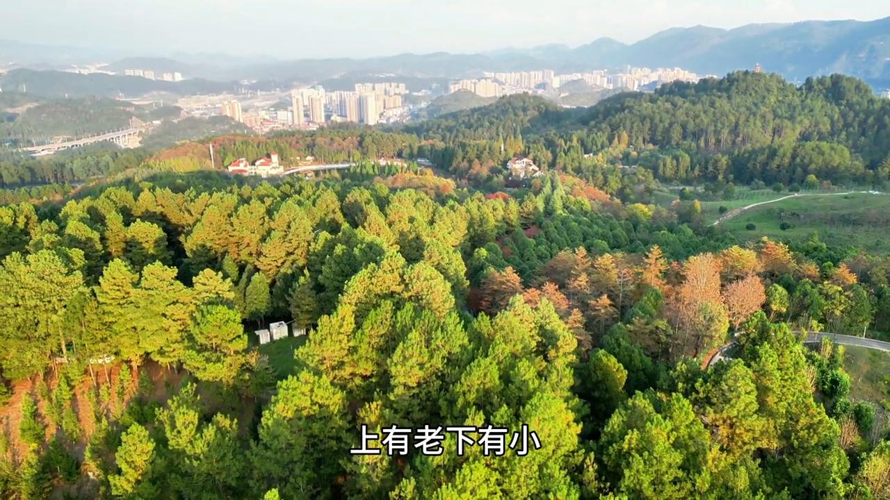 佛教的七苦三毒七情六欲,佛如何看待生老病死