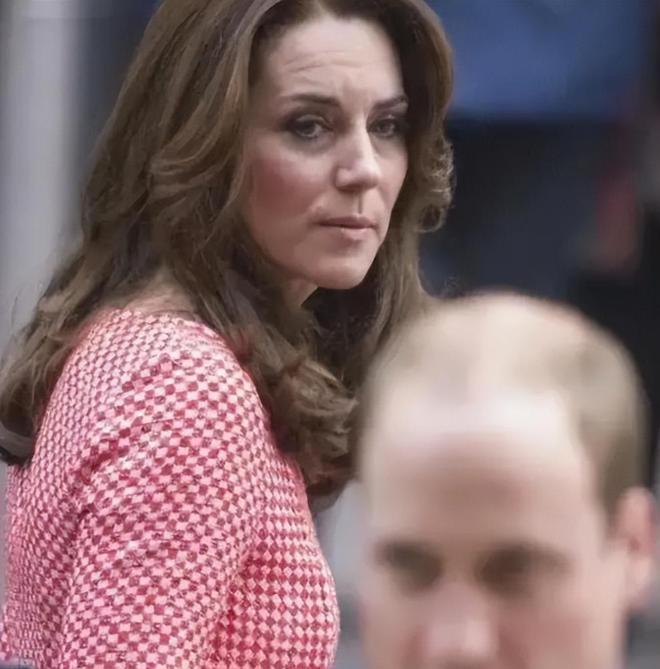 黑光计划是什么,黑光计划