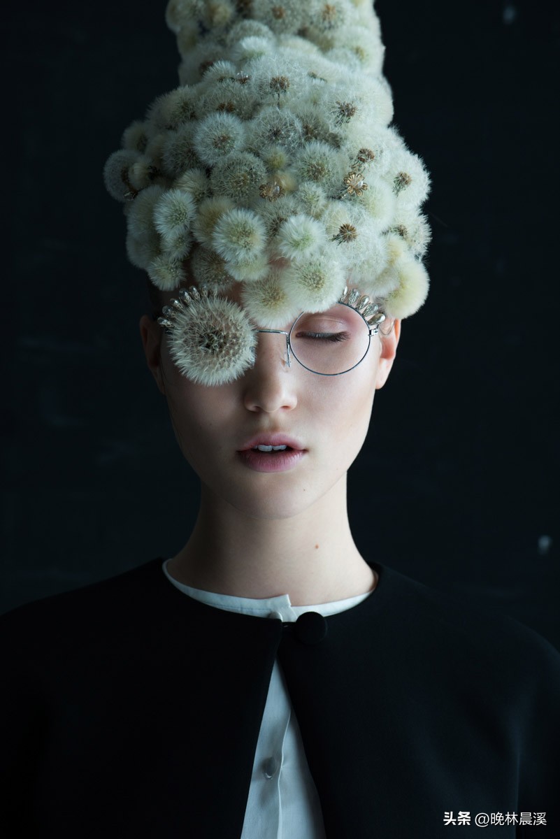 蒲公英与dandelion的区别,蒲公英摄影包选22升和25升对比