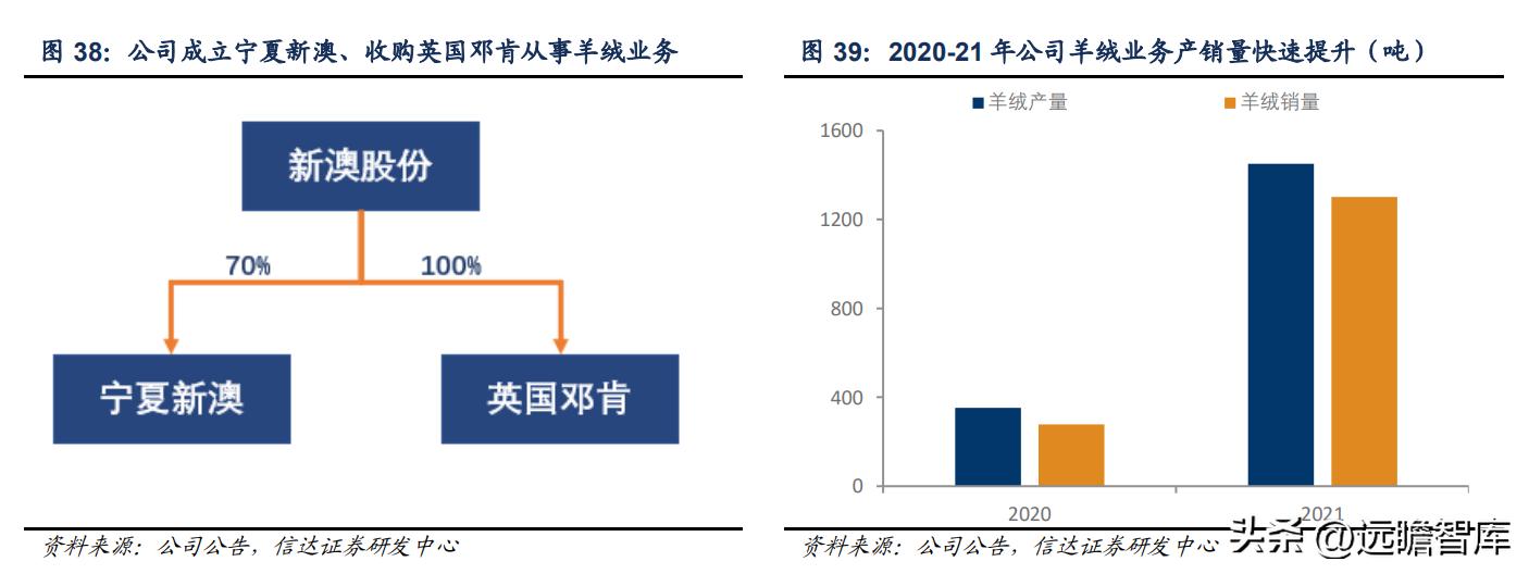 新澳纱线羊毛衣,新澳纱线无缝一体羊毛衫