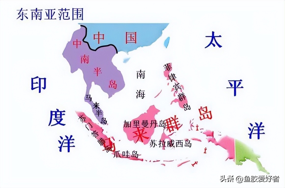 鱼胶哪个产地的最好,鱼胶最好的出产地在哪里