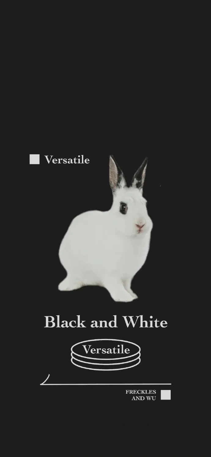 壁纸分享ins风简约高级感壁纸,壁纸ins风高级质感壁纸