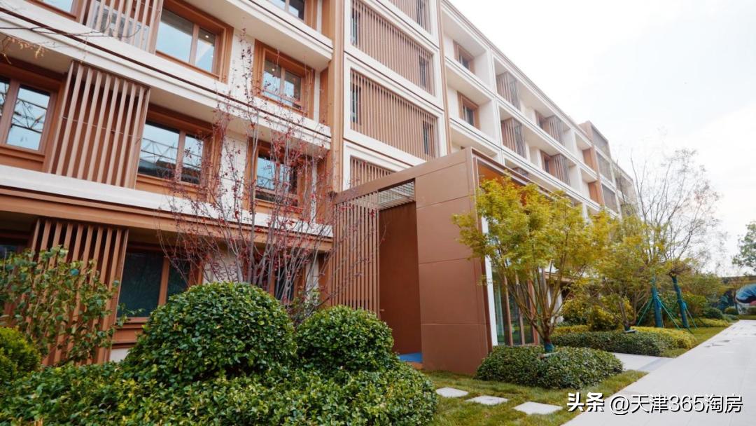 “政策风”来了!天津这个板块,抢先吃到“头啖汤”