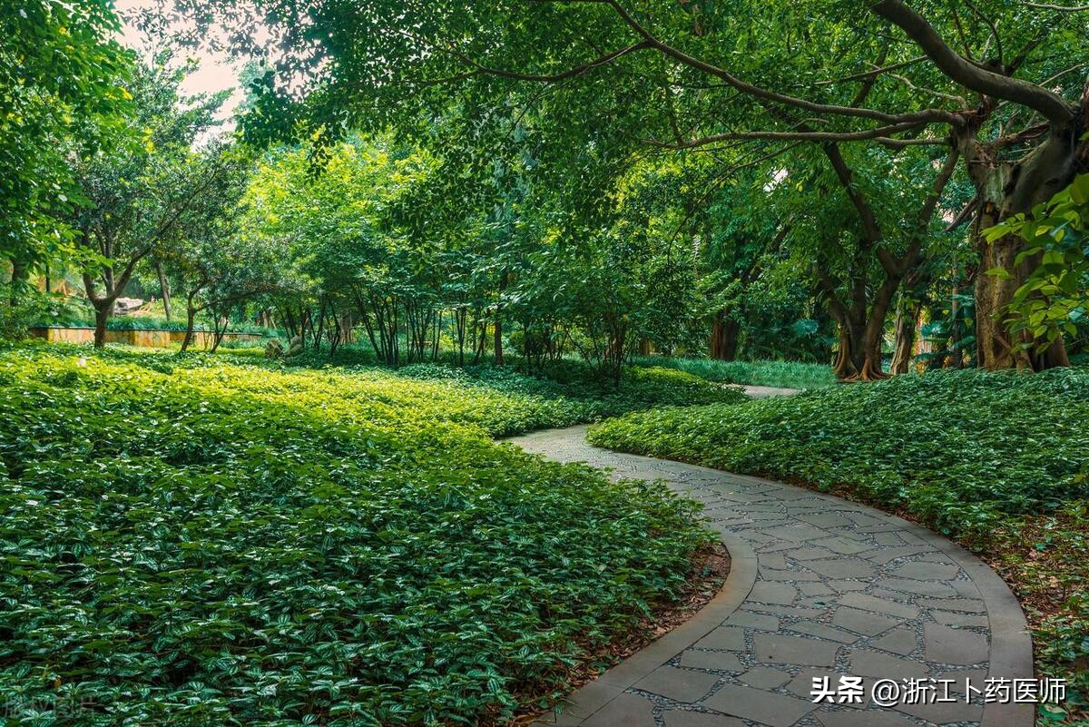 养心最佳动作,养生先养心十个特效养心穴位