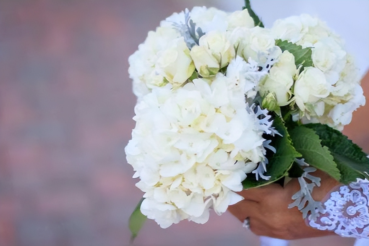 男生当舔狗的几种表现,女朋友把你当作舔狗的表现