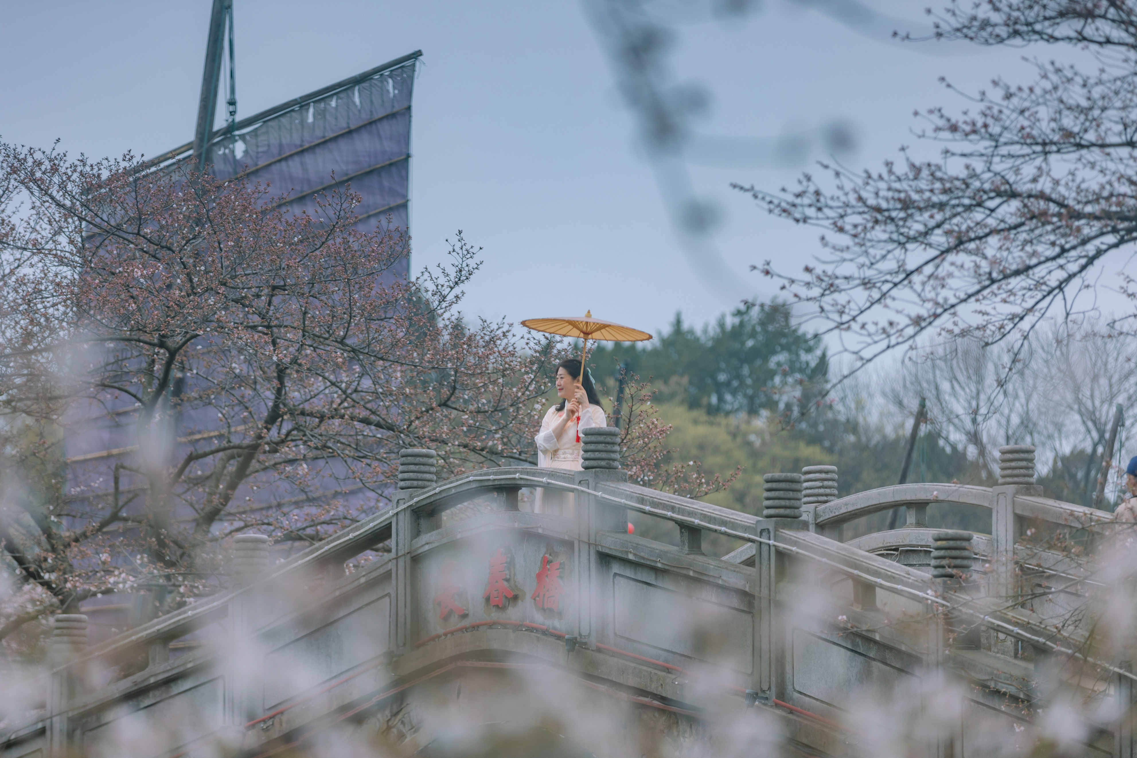 鼋头渚樱花盛宴比日本更令人沉醉,太湖鼋头渚樱花美如画
