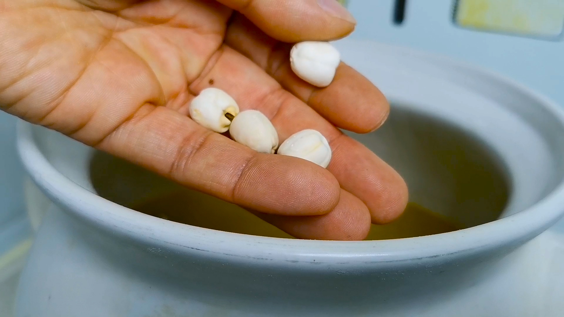 炖鸡汤牢记1禁3放3不放,家常炖鸡汤最好喝的方法