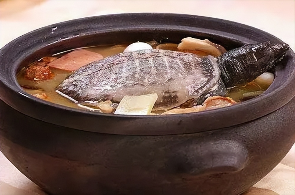 舌尖上的中国菜——浅论全国各地的特色美食