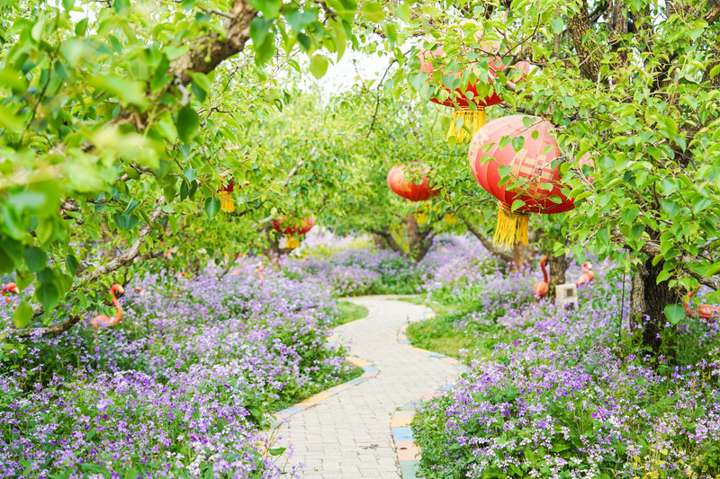 宿州两日游,宿州旅游攻略三日游