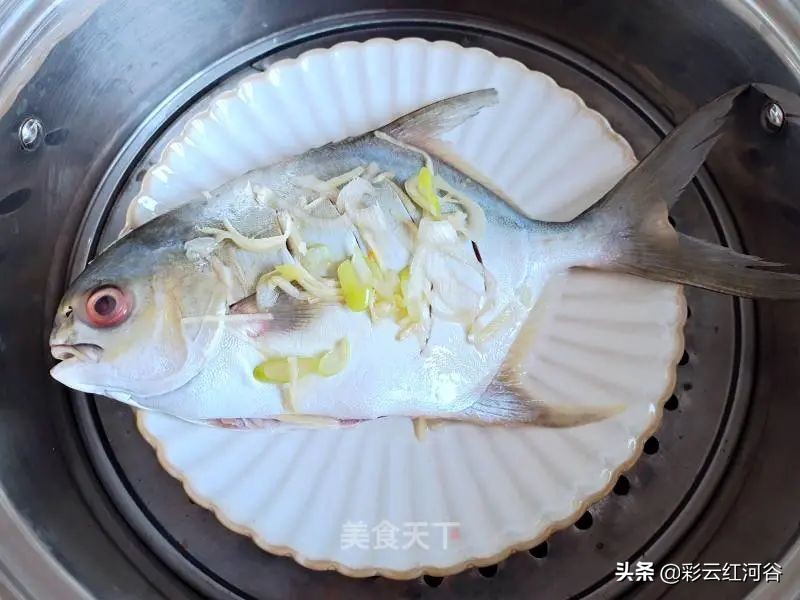 清蒸剁椒金鲳鱼怎么做好吃又简单,清蒸金鲳鱼腥味大吗