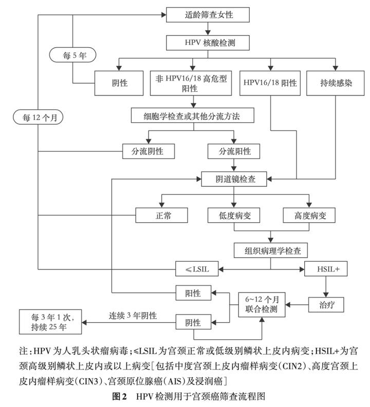 宫颈癌筛查人乳头瘤病毒阴性,人乳头瘤病毒就是宫颈癌筛查吗