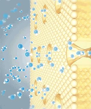 地下室怎么解决防潮问题,地下室防潮最省钱的方法