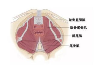 宝妈漏尿怎么安慰,三个娃的宝妈产后漏尿