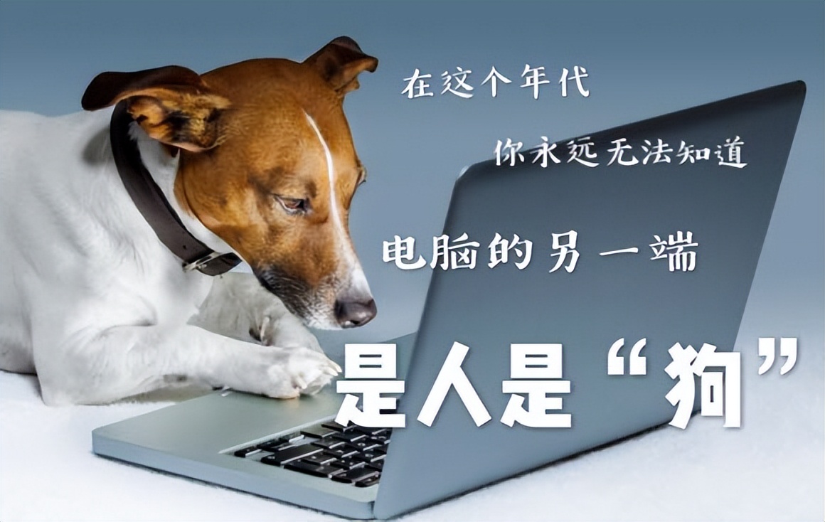 围棋死棋还可以继续下吗,围棋死棋有必要继续下吗