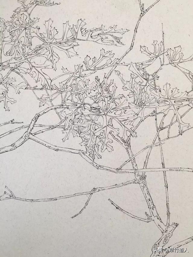 绘画艺术形象及其审美意义,中国绘画的审美特点4字