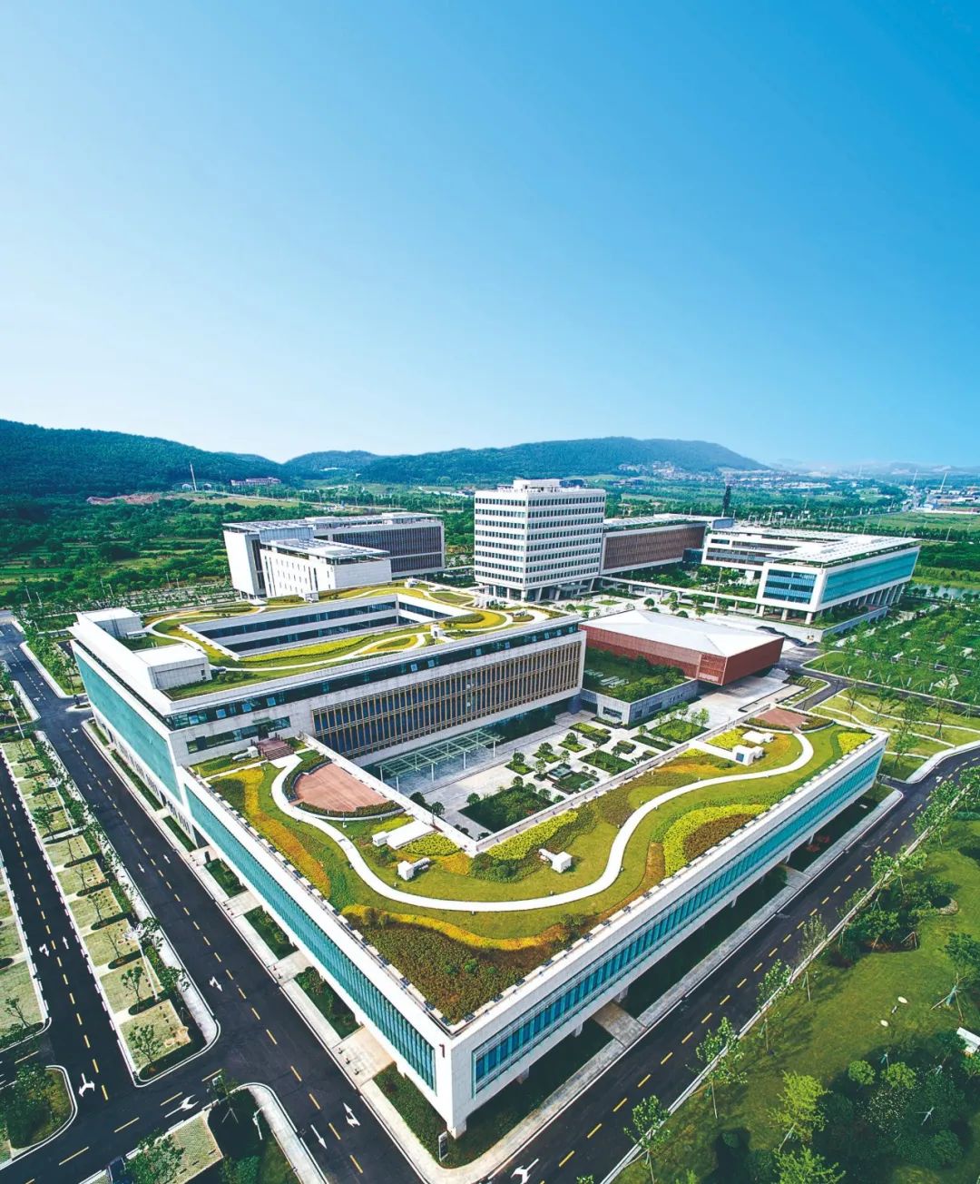 光谷适合干嘛,光谷有什么让人去的理由