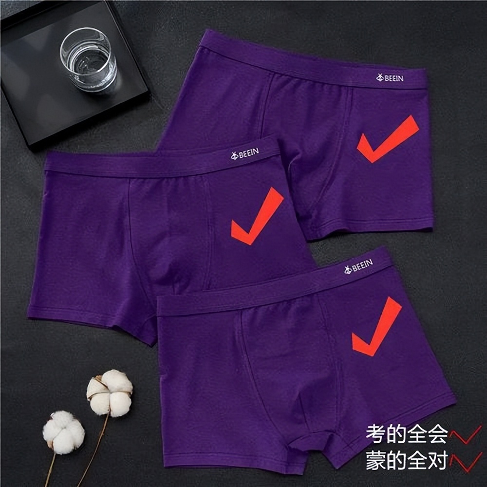 我和高智商老婆的爱斗生活（十一）：创业