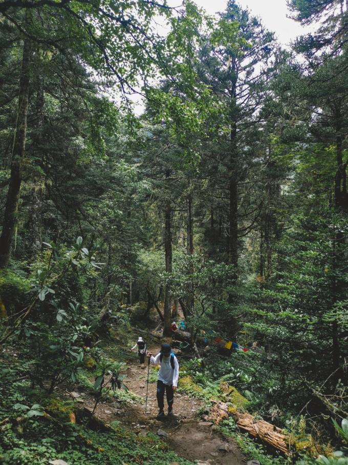 云南最美却要徒步到的地方是哪里,徒步云南旅游攻略最佳线路