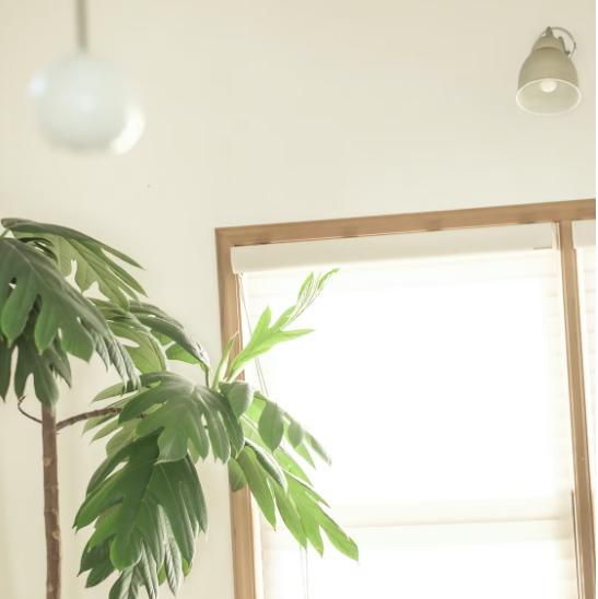 日本家庭主妇的规律生活,日本主妇断舍离视频