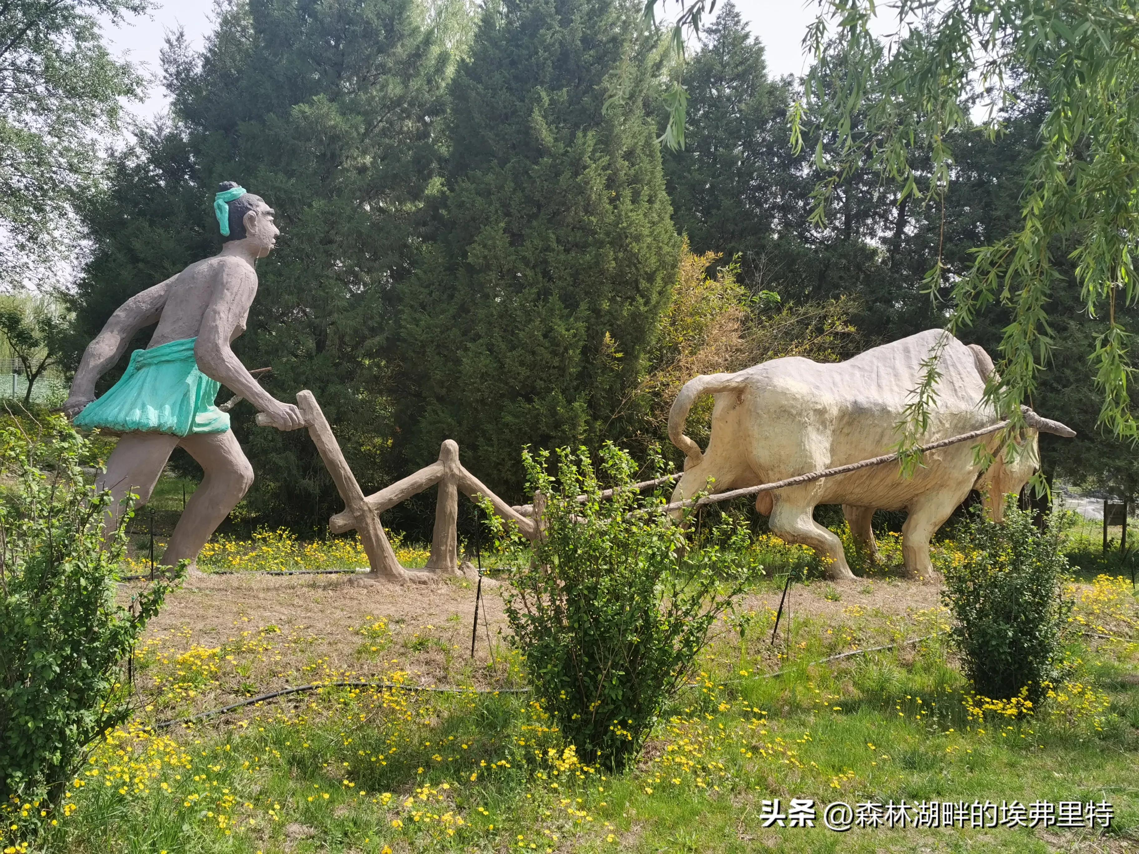 蟹岛度假村火灾,蟹岛度假村视频