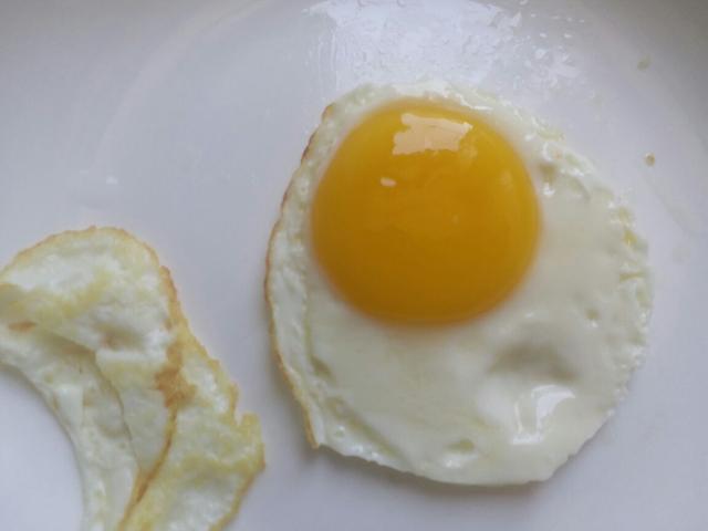 权威解答隔夜菜能吃吗,隔夜菜能吃吗专家给出了权威答案