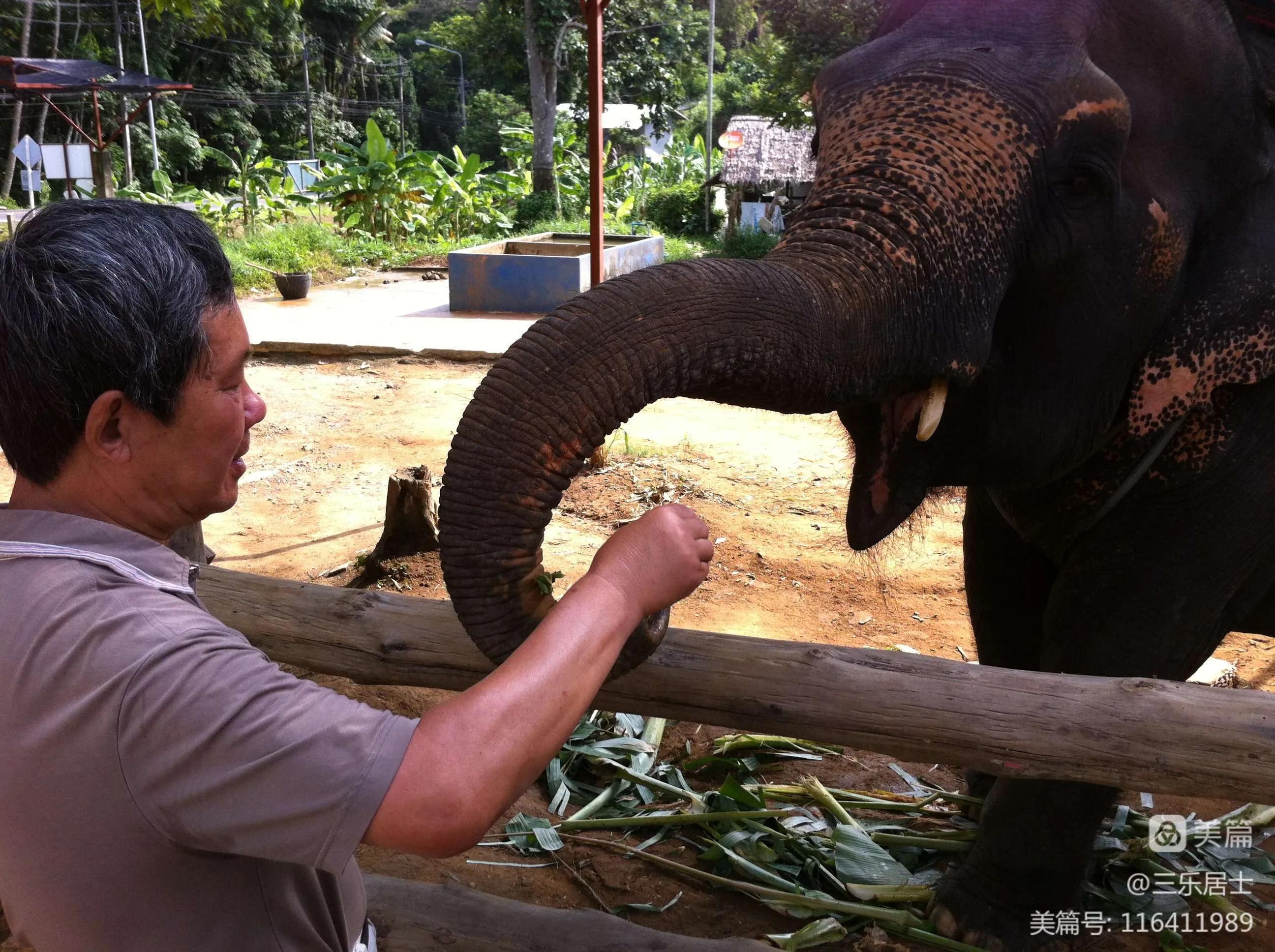 泰国普吉岛旅游攻略贴吧,泰国跟团普吉岛曼谷