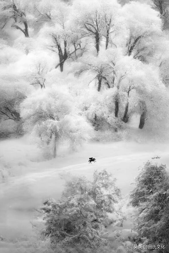 鐢版皬鏂囧寲缃戠粶骞冲彴,鐢版皬鏂囧寲浼犳壙骞冲彴
