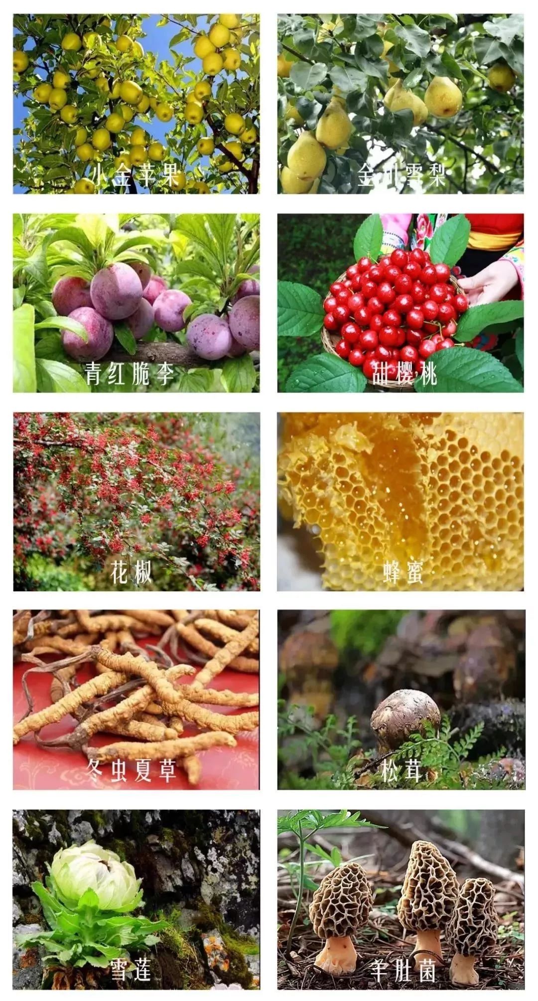 川西阿坝旅游详细攻略地图,川西阿坝旅游攻略三天