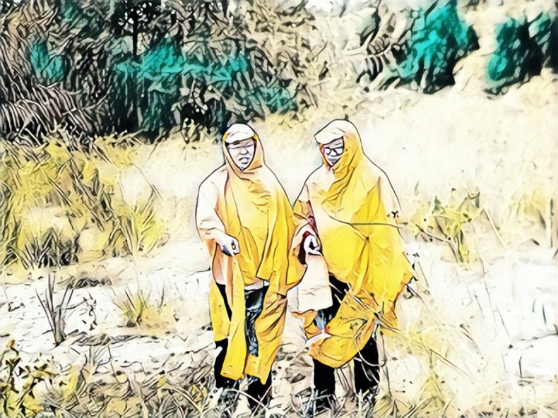 补充耕地项目跟踪审计,耕地占补平衡盈利分析