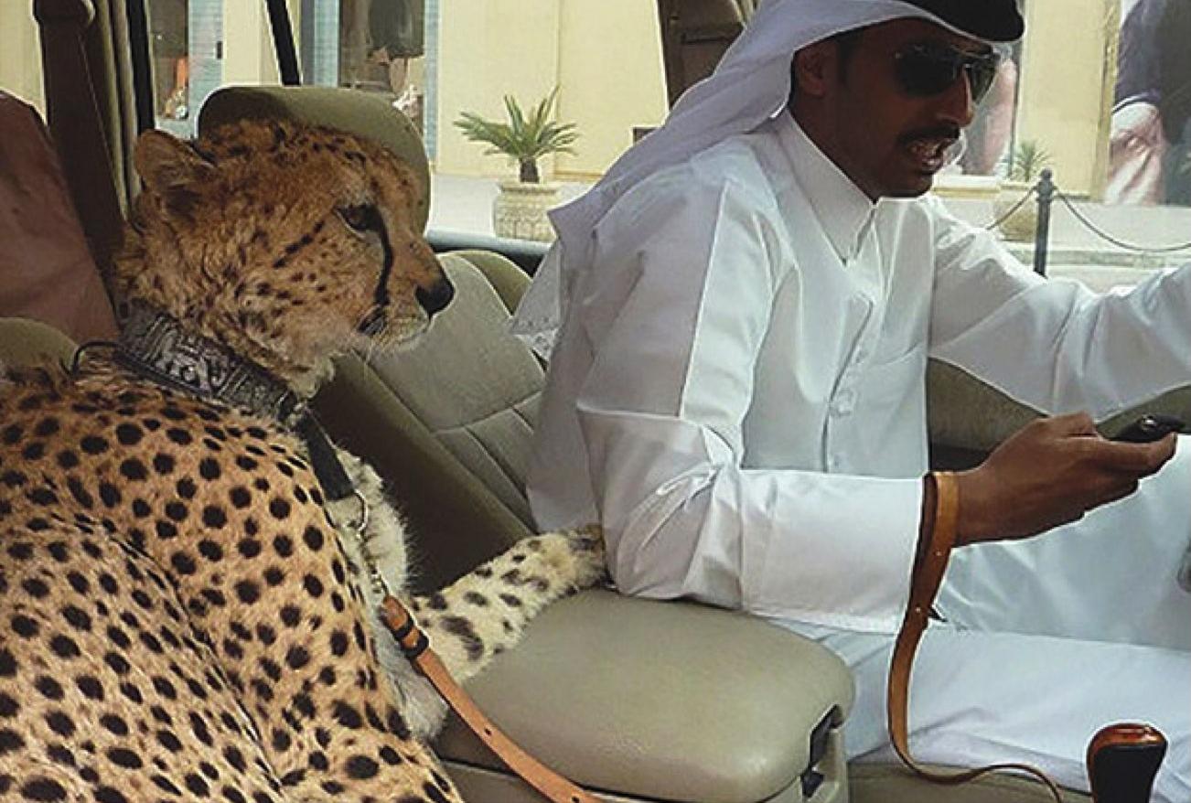 中东城市富得流油,中东富得流油视频