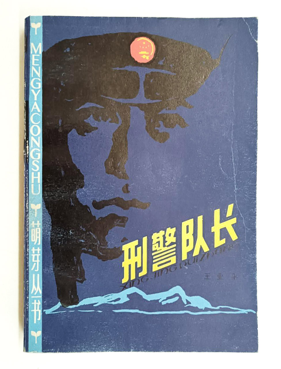 国内侦探小说双男主,通俗的内地侦探小说